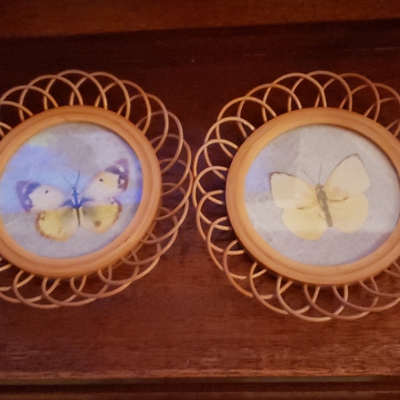 Bamboo Wicker Butterfly Coaster Set. - Picture 3 of 7